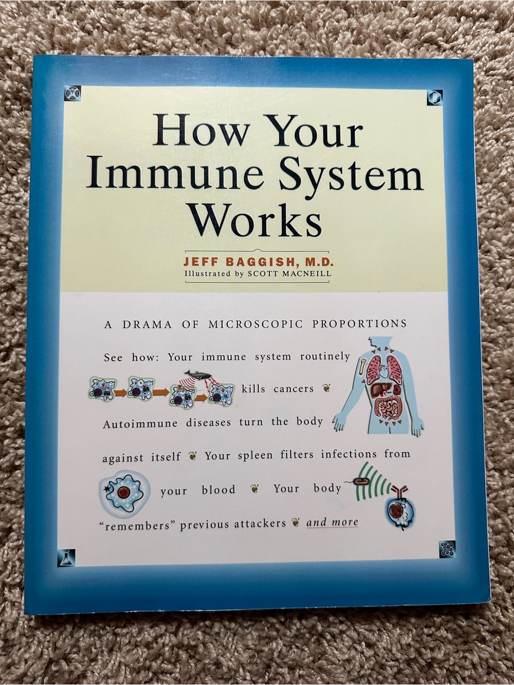 How Your Immune System Works by Jeff Baggish - Softcover
